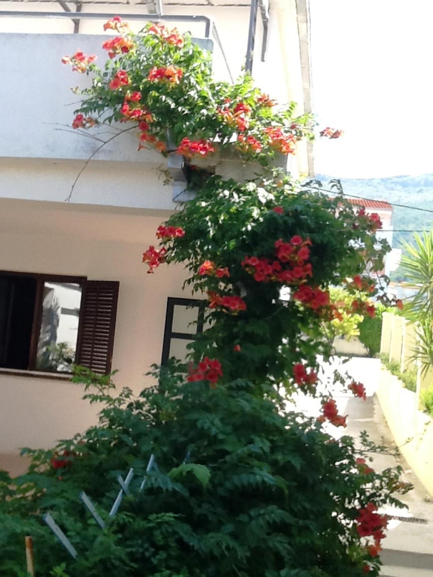 Villa Tamaris On The Beach 포드스트라나 객실 사진